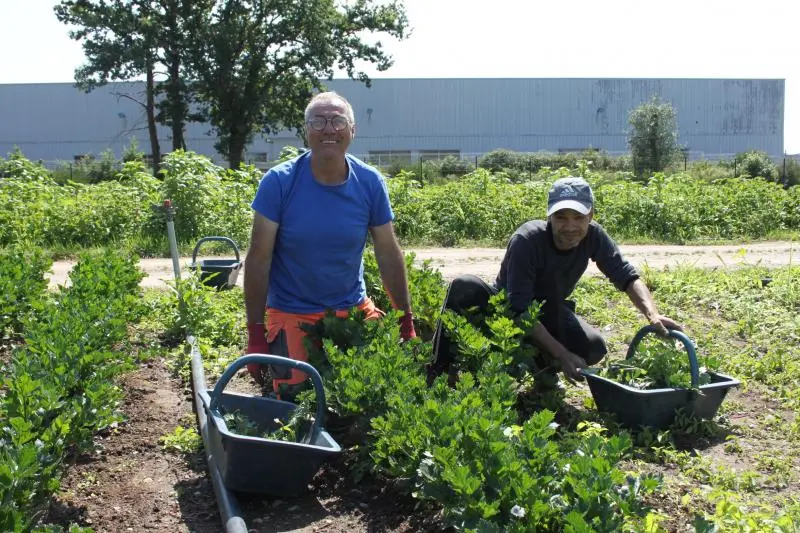 Participation à des tâches quotidiennes (jardinage, cuisine, etc.)